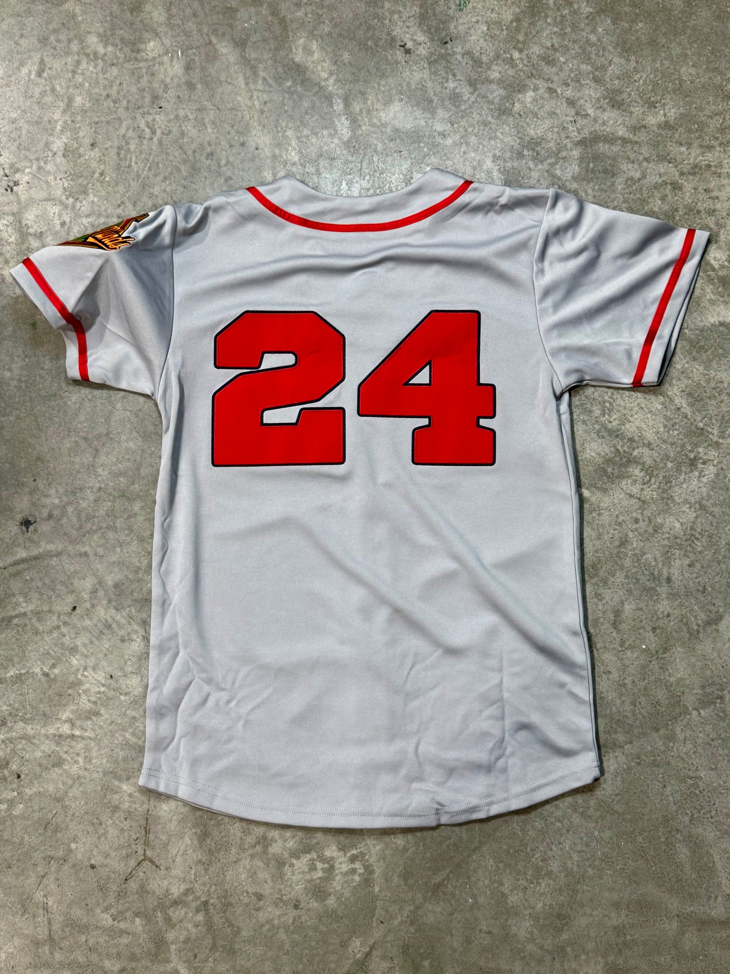 UM World Series Jersey